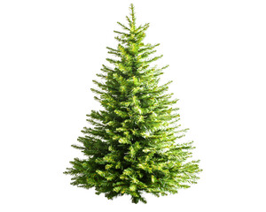 Fototapeta premium A vibrant green Christmas tree stands against a pure white background, perfect for holiday-themed designs and decorations.
