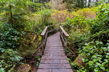 Obraz premium Scenic Wooden Footbridge in Lush Vancouver Island Forest