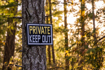 Private Keep Out Sign on Tree in Forest Setting