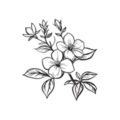 black and white flowers