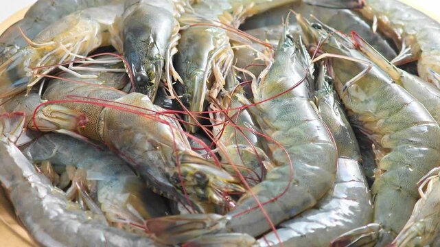 fresh shrimp