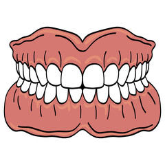 Dentures False Teeth Drawing Vector Illustration