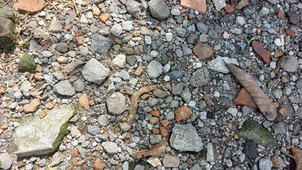 dry leaves that fall from trees and fall in the yard which is full of gravel
