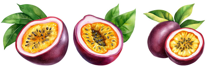 Vibrant Passion Fruit Illustrations Highlighting Their Unique Textures and Colors Against a Dark Background