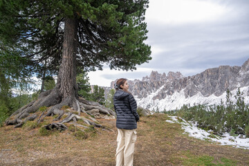 Naklejka premium Woman under the tree enjoy the view of alpine mountain landscape snowy.