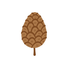 Pine cone isolated on white background.