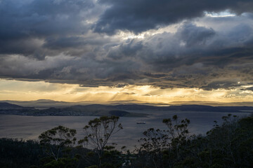 beautiful gum Trees and shrubs in the Australian bush forest. Gumtrees and native plants growing in Australia in spring. eucalyptus growing in a tall forest