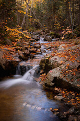 stream in the forest in NH during fall foliage season