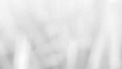 Blurred white background with a subtle gradient and textural elements. Realistic bokeh photos for website banner backgrounds with bright colors.