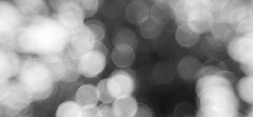 Abstract black and white image featuring numerous blurred circles of light, creating a soft, dreamy, and ethereal background.