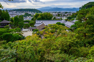 Japanese Garden in Fall 2024