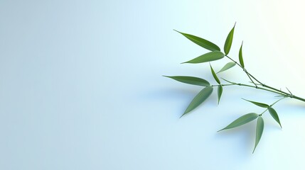 A single branch of green bamboo leaves on a light blue background with copy space.