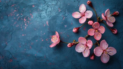 Pink cherry blossoms on dark blue textured background with copy space