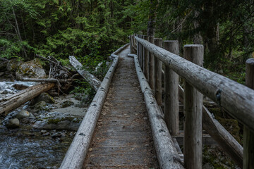 Obraz premium Long Log Bridge Over Panther Creek