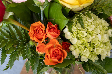 Full frame abstract macro view of blooming flowers in an indoor florist arrangement, featuring deep orange mini roses and pale green hydrangea