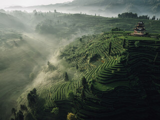 Aerial view of beautiful tea terrace landscape in China