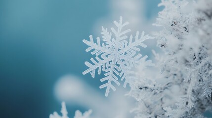A Single Snowflake Resting on a Frozen Branch