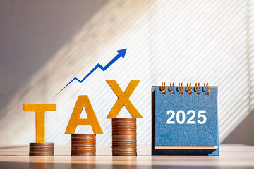 Tax 2025 concept with wooden blocks and letters. Business budget planning and investment growth in...