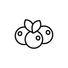 Cranberry icon vector line logo art