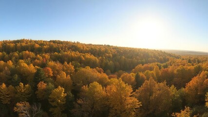 Golden sunlight illuminating a panoramic view of an autumn forest, woodland, rural, landscape