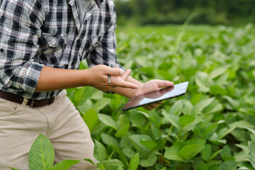 Hands of farmer, Agriculture technology farmer man using tablet Modern technology concept...