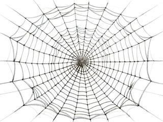 spider web isolated PNG