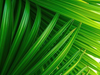 Close-up image of a lush, flawless green palm leaf background, vibrant, tropical forest, pattern
