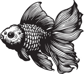 Obraz premium goldfish body with engraving style black color