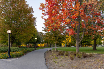 Naklejka premium Major's Hill Park in downtown Ottawa, Canada, in autumn season with trees changing colors.