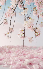 pink cherry blossoms