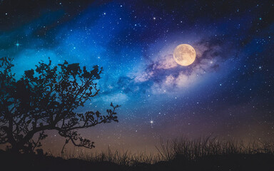 night landscape with moon