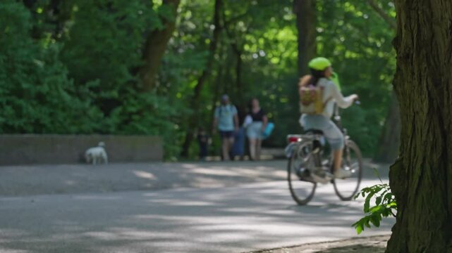 Cyclists enjoying a tranquil ride through a lush park on a sunny day