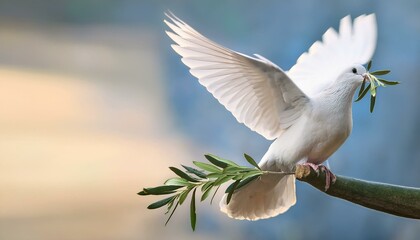 White dove with an olive branch, symbolizing peace
