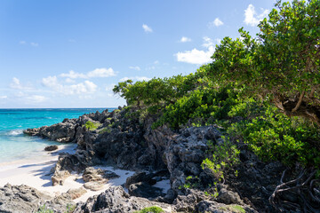 Fototapeta premium Serene beach scene at John Smith Bay on Bermuda Island with clear blue waters