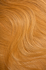 Red hair close-up as a background. Women's long orange hair. Beautifully styled wavy shiny curls. Hair coloring bright shades. Hairdressing procedures, extension.