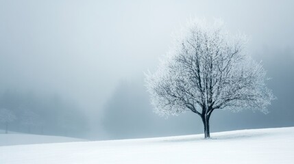 Fototapeta premium First Day of Winter, copy space