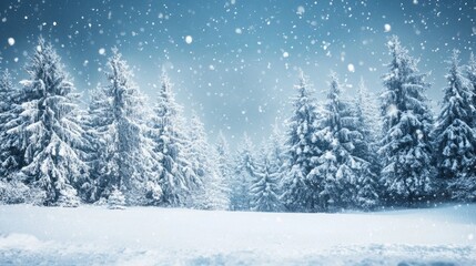 First Day of Winter, copy space