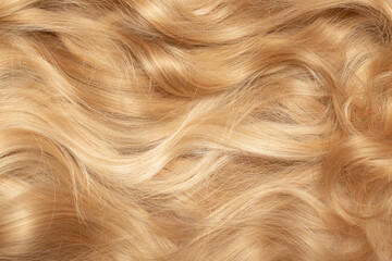 Blond hair close-up as a background. Women's long blonde hair. Beautifully styled wavy shiny curls....