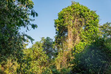 Nature of East Africa, Chutes de la Karera Falls, Burundi