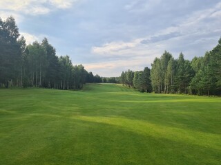 Lush green golf course landscape surrounded by trees during late afternoon