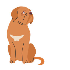 Dogue de bordeaux icon clipart avatar logotype isolated illustration