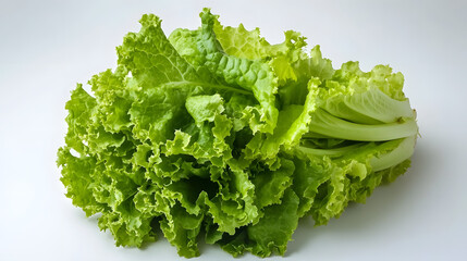 A bunch of crispy green lettuce leaves ordered esthetic