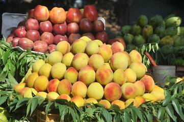 fruits 