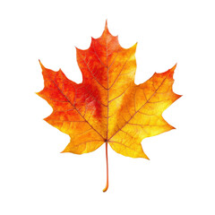 Fototapeta premium A vibrant autumn maple leaf displaying beautiful hues of orange and yellow, capturing the essence of fall's colorful transformation in nature.