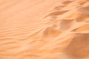 Sand dunes in the desert at sunset. Abstract natural yellow sand background.