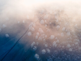 Clouds over the frost-covered trees in autumn forest at foggy sunrise. Road between the trees.