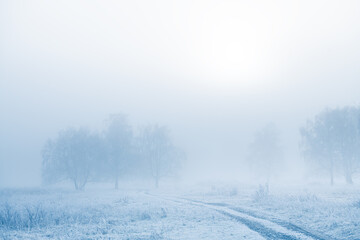 Frost-covered trees and grass in winter forest at foggy sunrise. Beautiful winter landscape.