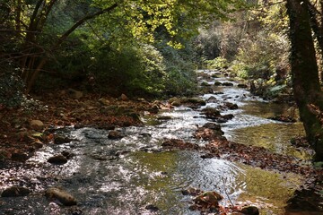 Carpinone - Rio Carpino a valle della Cascata Schioppo