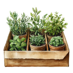 Fototapeta premium A beautifully arranged collection of potted herbs, showcasing vibrant greenery and an inviting rustic presentation for gardening enthusiasts.