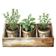 Fototapeta premium A vibrant display of potted herbs in decorative pots, showcasing rosemary, basil, and thyme. Perfect for home kitchens and gardening enthusiasts.